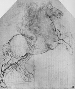 A Rider on a Rearing Horse