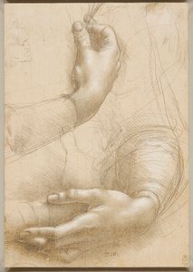 Arms and Female Hands