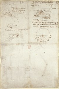 Three notes and sketches on water; a diagram on the flight of birds, from 