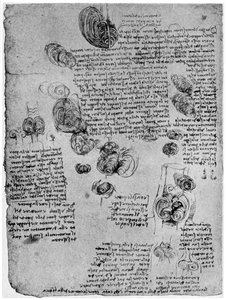 Diagram of the Blood Vortex in the Heart by Leonardo da Vinci