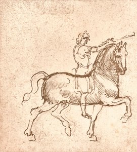 Drawing of a Walking Horse
