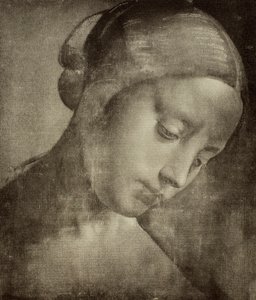 Feminine Head, Drawing by Leonardo da Vinci