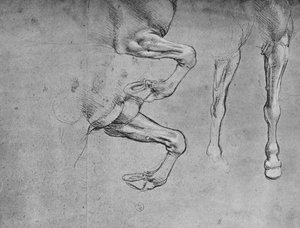 Four Studies of Horses Legs by Leonardo da Vinci
