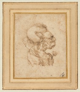 Grotesque Head of an Old Woman by Leonardo da Vinci