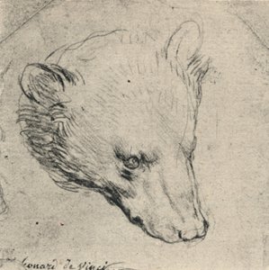 Head of a Bear, c1480 1945