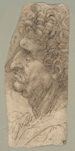 Head of a Man in Profile Facing to the Left by Leonardo da Vinci