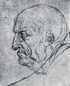 Head of an Old Man