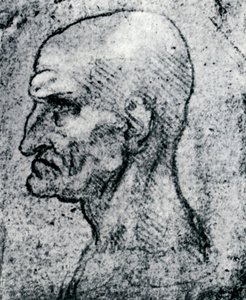 Head of an Old Man, 1913