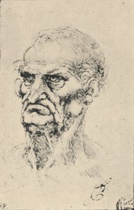 Head of an Old Man Three-Quarters to the Left, c1480, 1945