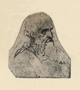 Head of an Old Man Turned to the Right