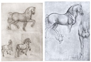 Horses by Leonardo da Vinci