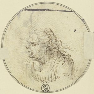 Caricature of a Woman with Open Mouth, Bust, in Profile to the Left