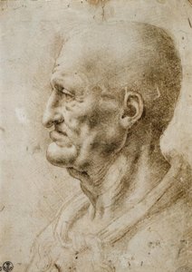 Head Study of an Old Man