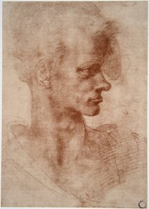 Caricature portrait of a young man by Leonardo da Vinci