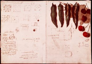 Notes and Sketches of Botany and Geometry