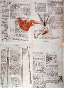 Notes on the Physiology of Vision
