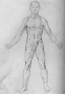 Nude Man With Arms Stretched Out, Seen from the Front