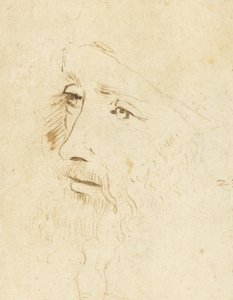Portrait of Leonardo da Vinci by Leonardo da Vinci,