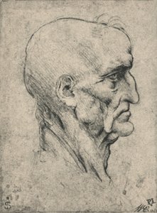 Profile to the Right of an Elderly Bald Man, c1480