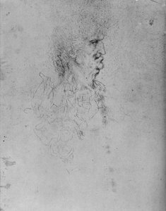 Profile to the Right of an Old Man by Leonardo da Vinci