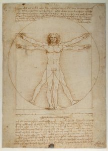 Proportional Scheme of the Human Figure According to Vitruvius by Leonardo da Vinci