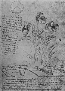 Studies of Violas and of Methods of Soldering Lead Roofs
