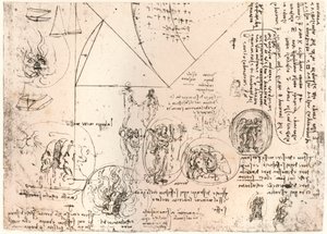 Studies of Emblems, c. 1472-c. 1519