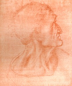 Study for the Head of Judas in 