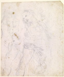 Study of a Madonna by Leonardo da Vinci