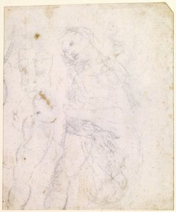 Study of a Madonna by Leonardo da Vinci