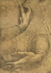 Study of Female Hands