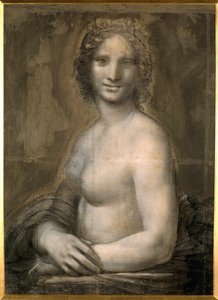 Study of female nude probably the Mona Lisa