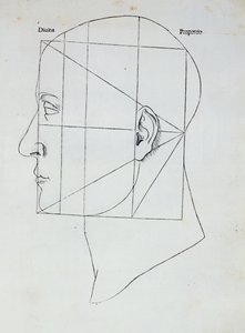 The Human Head, illustration for 