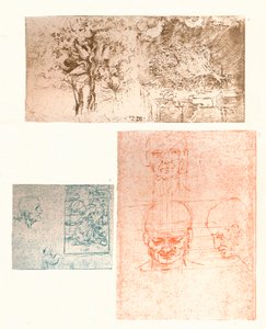 Three drawings by Leonardo da Vinci