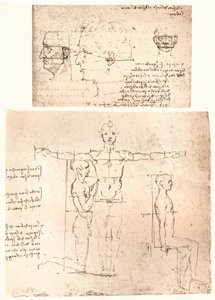 Two Drawings Illustrating the Theory of the Proportions of the Human Figure