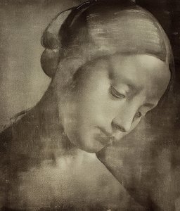 Female Head. Ca. 1470-1519 by Leonardo da Vinci