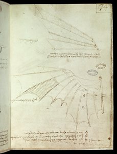 Wing by Leonardo da Vinci