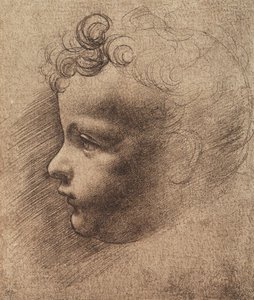 Head of a small boy by Leonardo da school of Vinci
