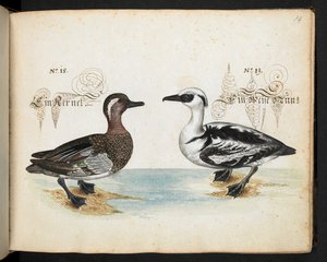 Add MS 6485