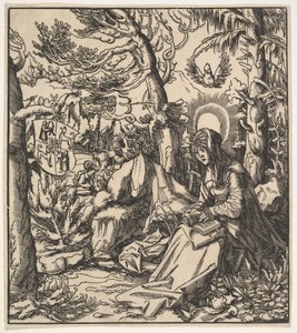 Saint Ita of Toggenburg, from the Habsburg Saints, 1516-18 by Leonhard Beck