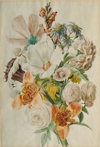 Bouquet with Hibiscus and Lilies