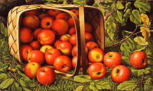 Basket of Apples
