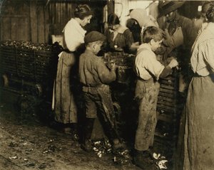 10 Year Old Jimmie Who Has Been Shucking 3 Years with an 11 Year Old Boy Who Shucks 7 Pots at Varn und Platt Canning Co., Bluffton, South Carolina, 1913 by Lewis Wickes Hine