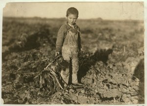 6 Year Old Jo Pulling Sugar Beets on a Farm Near Sterling, Colorado, 1915 by Lewis Wickes Hine