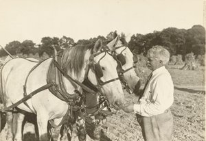 Untitled, ca. 1935 by Lewis Wickes Hine