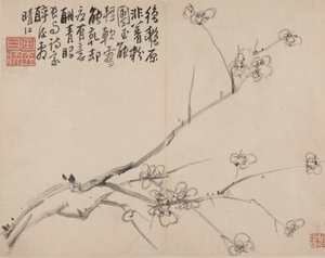 Album of Blossoming Plum