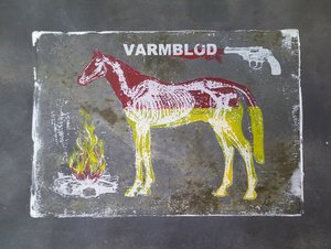 Warmblood Horse Anatomy by Li Gessbo