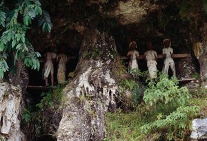 Funeral Niches with Tau Tau Mortuary Figures, Marrante Village, Tana Toraja, Sulawesi Island, Indonesia