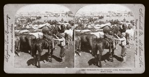 Boer War (South Africa) by Unbekannt Unbekannt