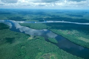Venezuela, Guayana, Amazonas State, Orinoco River, aerial view